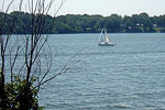 Lake Decatur