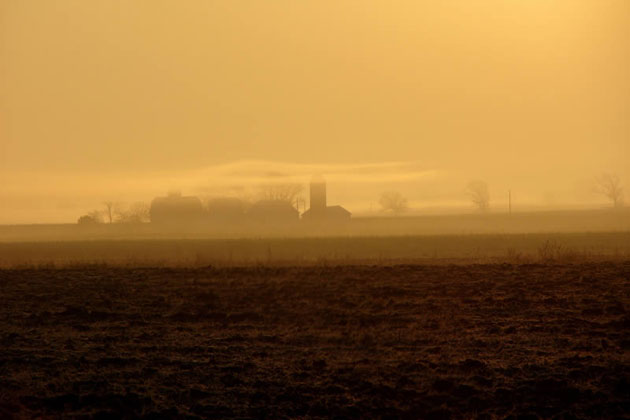 Farm Fog