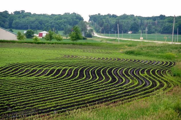 Midwest Farm