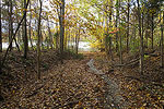 Lake Patoka Foot Path