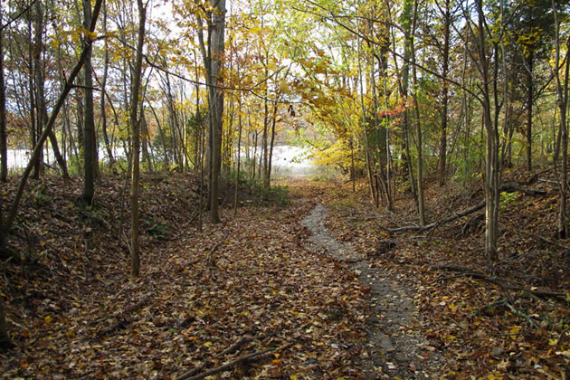 Lake Patoka Foot Path