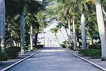 Boca Grande