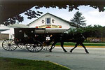 Northern Indiana Amish