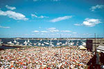 Jazz festival