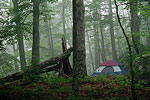 Daniel Boone National Forest