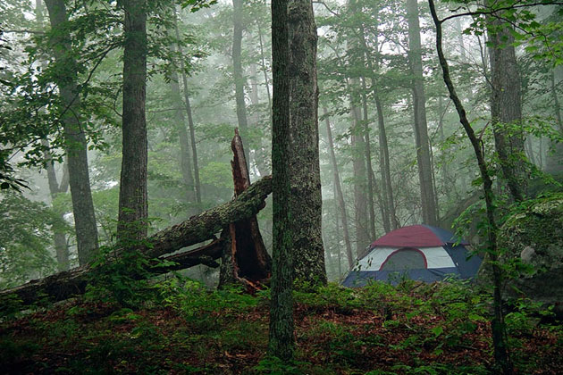 Daniel Boone National Forest