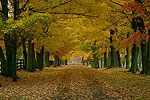 Colorful Scenery