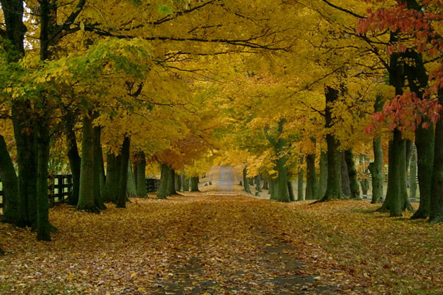 Colorful Scenery