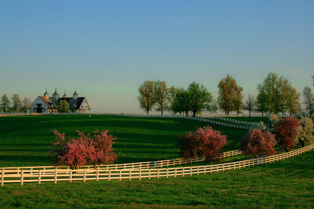 Horse Country