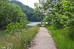 Cave Run Lake
