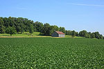 Farm Country