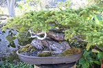 Elandan Gardens