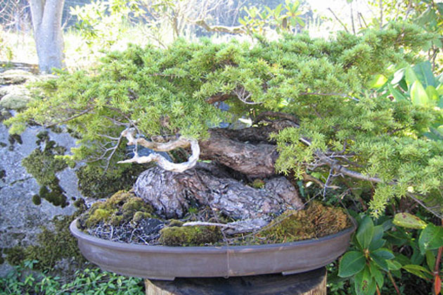 Elandan Gardens