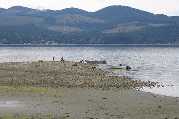 Oyster Fishing