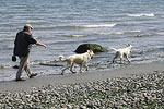 Kitsap