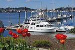 Port Orchard Marina