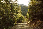 Klamath National Forest