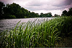 Winding River