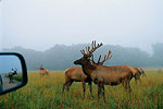 Lee G. Simmons Conservation Park