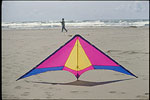 Kite Flying