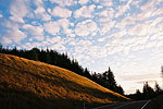 Route 4