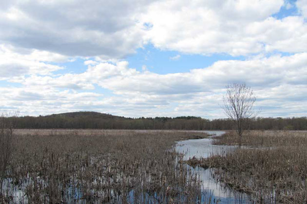 Great Meadows NWR