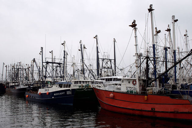 New Bedford Fishing Fleet