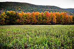 Berkshire Autumn near Egremont