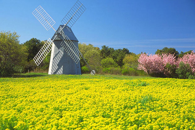 Windmill