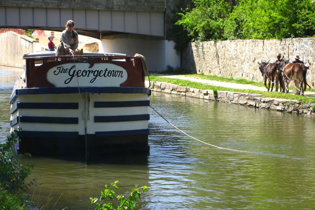 C & O Canal Boat and Mules