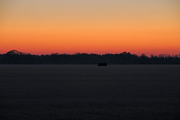 Cambridge Dawn
