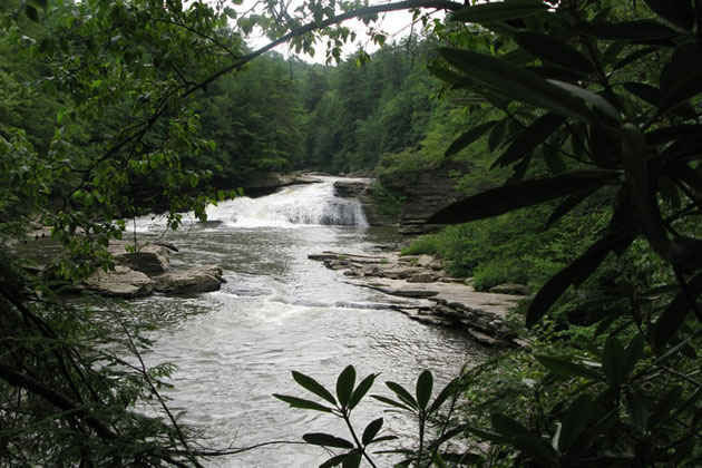 Swallow Falls State Park