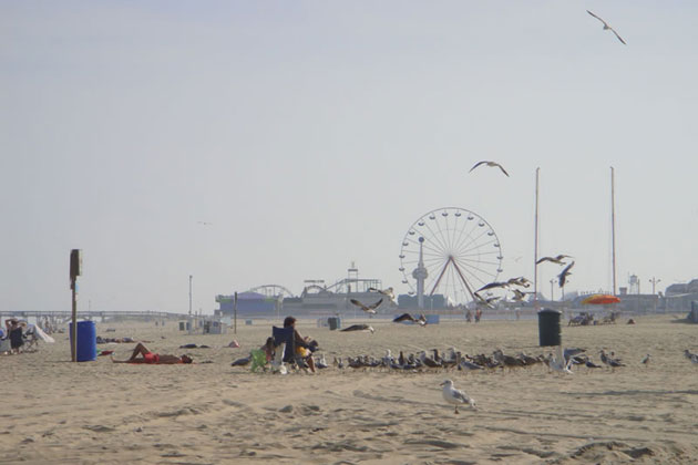 Ocean City Beach