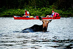 Allagash Wilderness Waterway