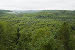 Ottawa National Forest - Sturgeon Gorge