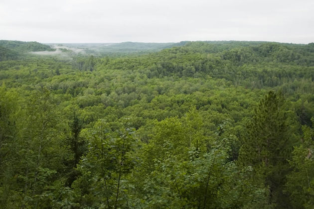 Ottawa National Forest - Sturgeon Gorge