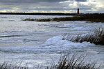 Manistique Shore