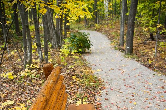 Fall Colors in Marquette County