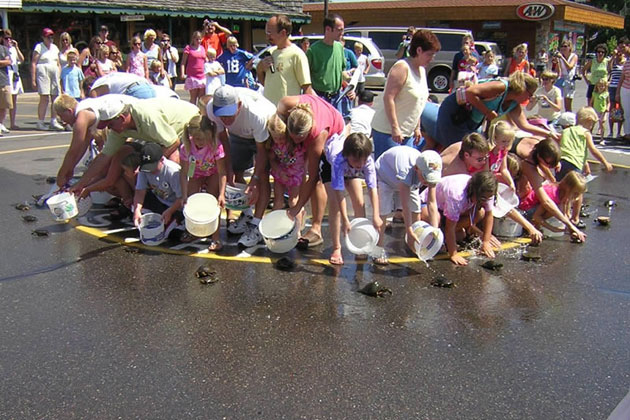 Nisswa Turtle Race
