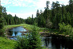 Beaver Pond