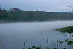 Lake Taneycomo Fog
