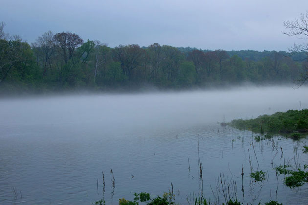 Lake Taneycomo Fog