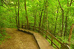 Rock Bridge State Park