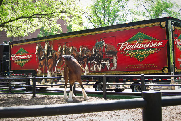 Anheuser-Busch Stables