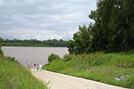 Mighty Mississippi
