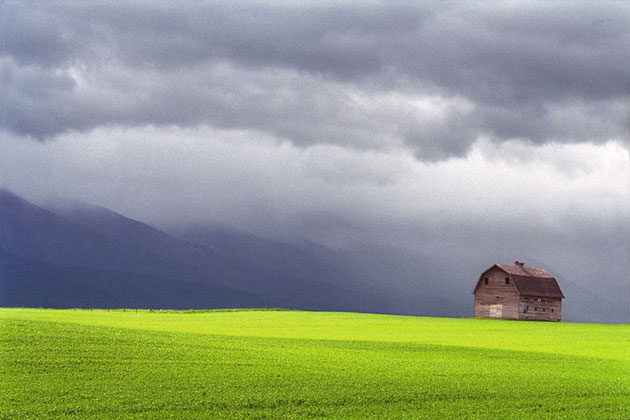 Beautiful Area