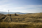 Rural Beauty