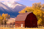 Rustic Beauty