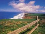 Marin County Beach