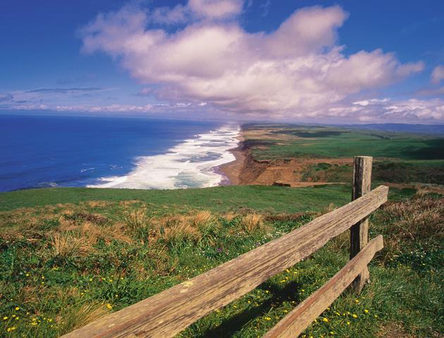 Marin County Beach